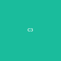 [MCP-TEST-818b78ad] Product C (Flat-2)