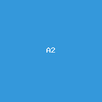 [MCP-TEST-a03bc579] Product A (Flat)