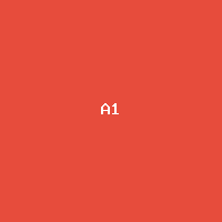 [MCP-TEST-52ad9e09] Product A (Flat)