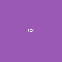[MCP-TEST-52ad9e09] Product C (Flat-2)